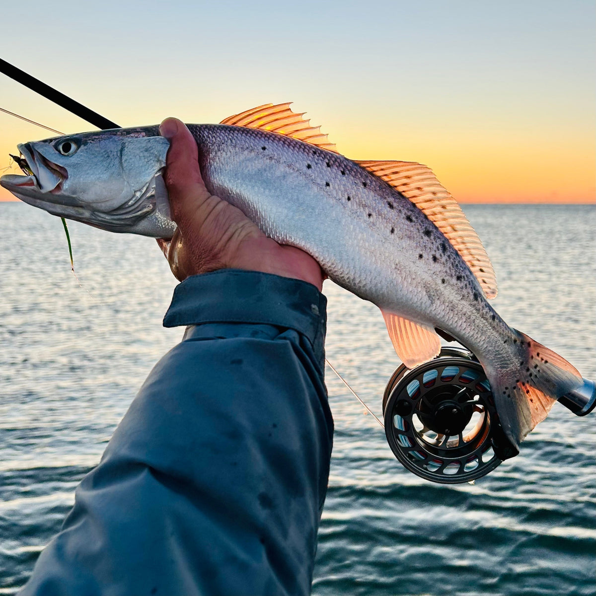 Speckled trout flies for inshore fishing in Beaufort, South Carolina.