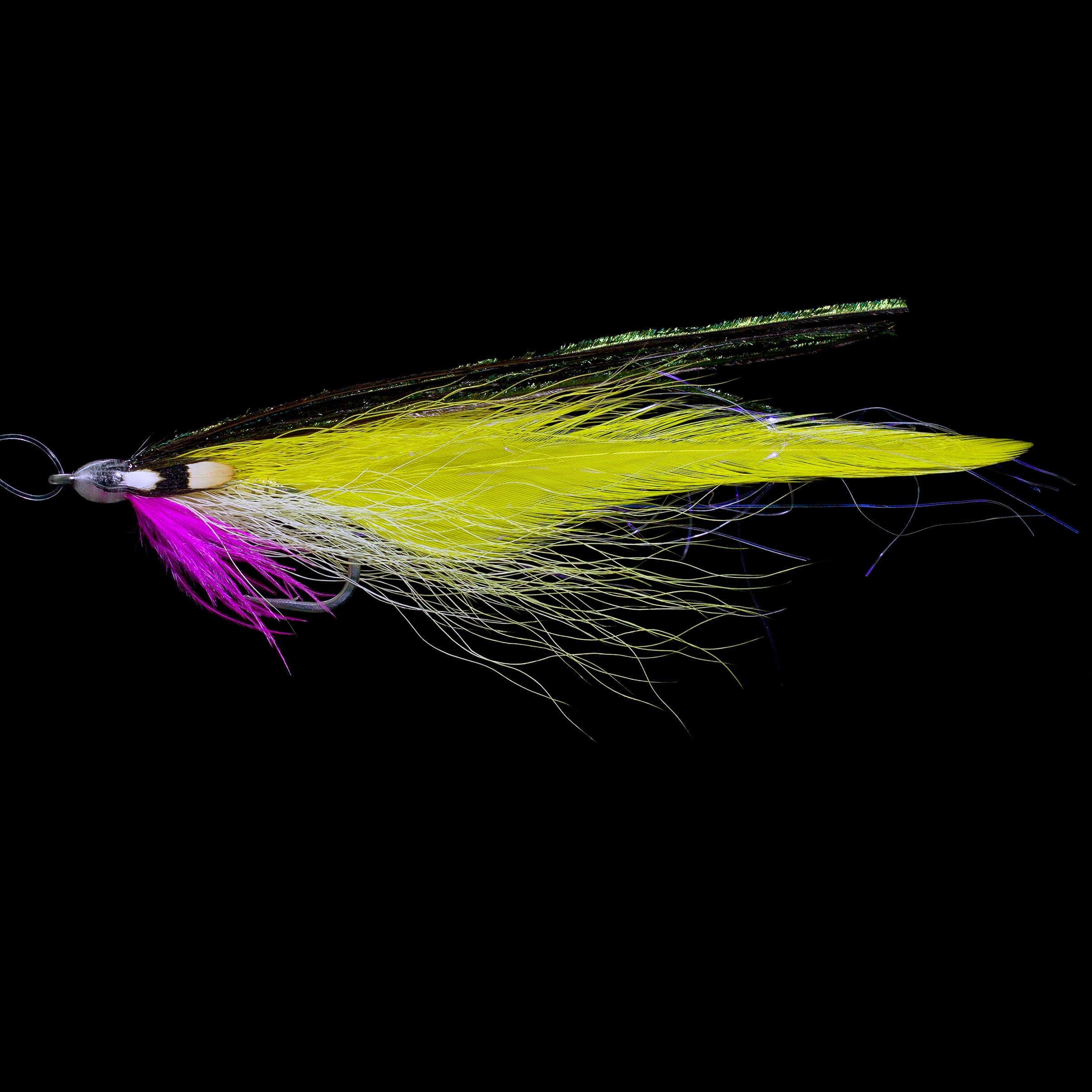 Yellow deceiver fly