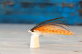Orange deceiver fly
